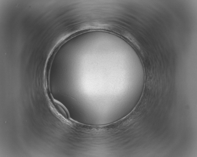 X0000053091080200507251558