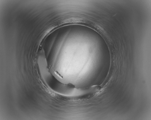 X0000053091081200507251558