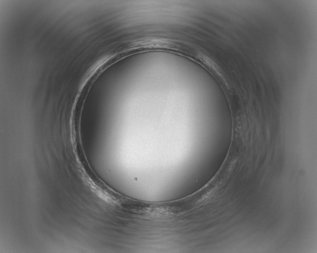 X0000053091082200507251558