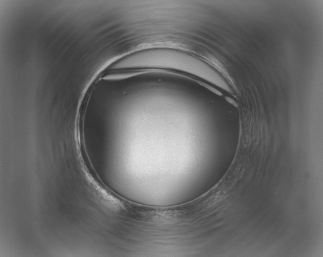 X0000053091084200507251558