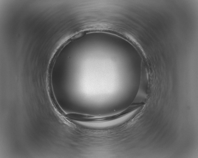 X0000053091085200507251558