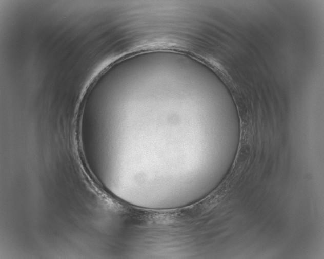 X0000053091086200507251558