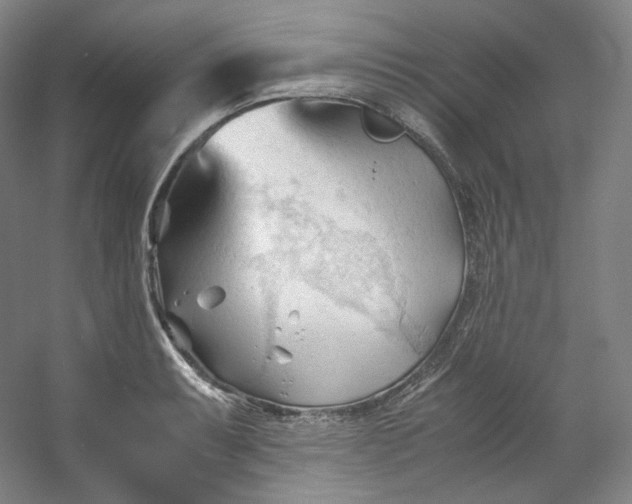 X0000053091087200507251558