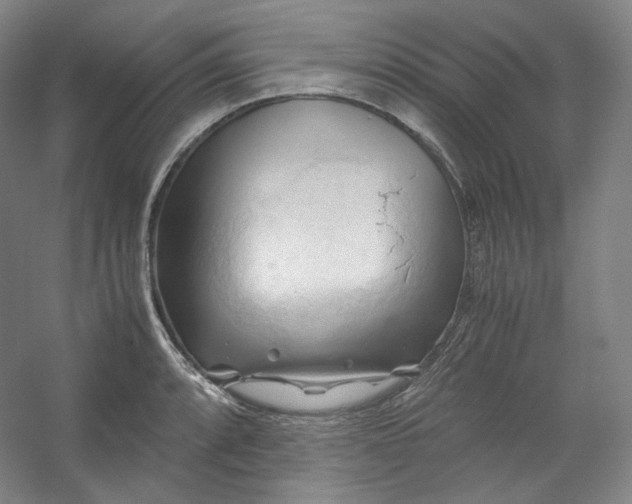 X0000053091088200507251558