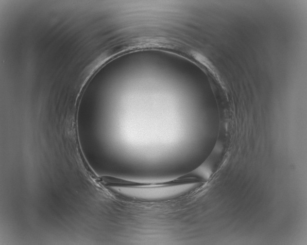 X0000053091089200507251558