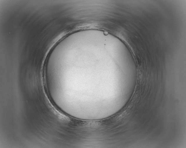 X0000053091090200507251558