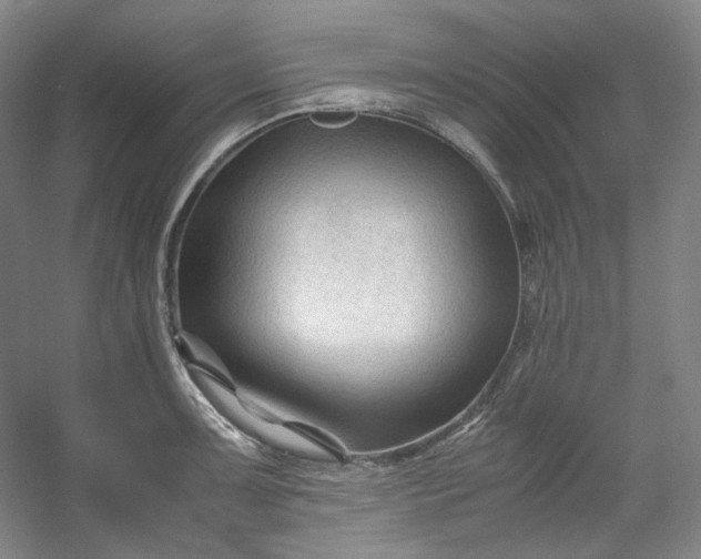 X0000053091091200507251558