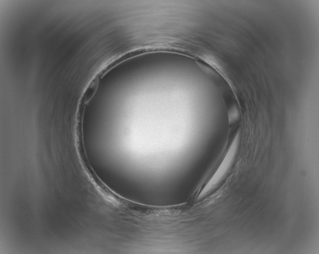 X0000053091093200507251558