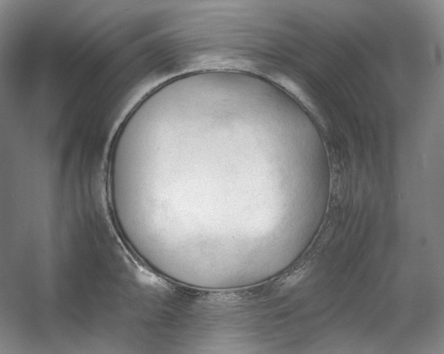 X0000053091094200507251558