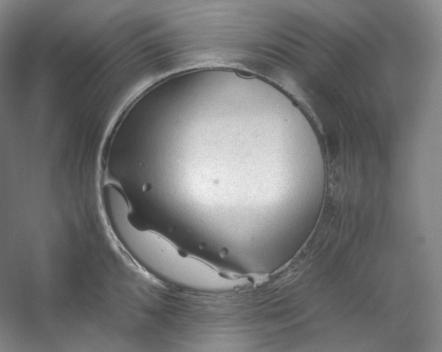 X0000053091096200507251558