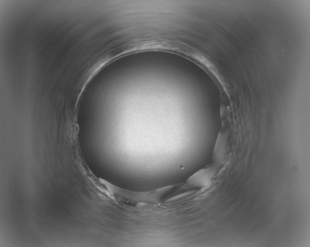 X0000053091097200507251558