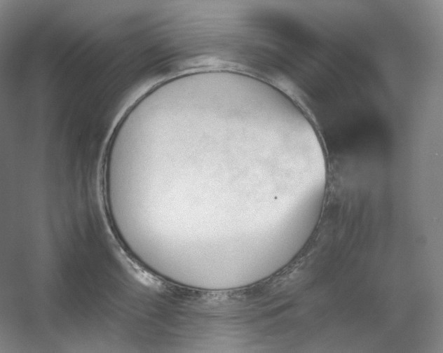 X0000053091098200507251558