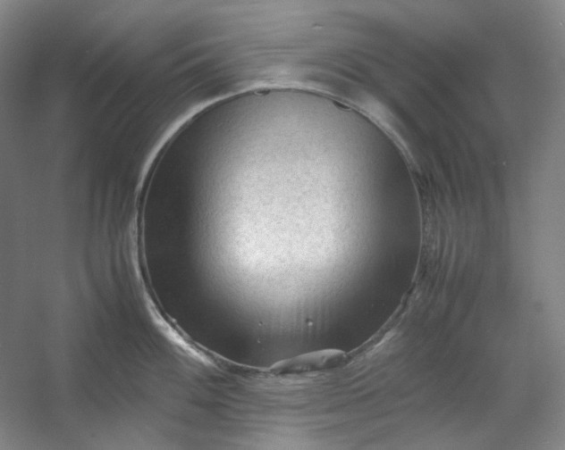 X0000053091100200507251558