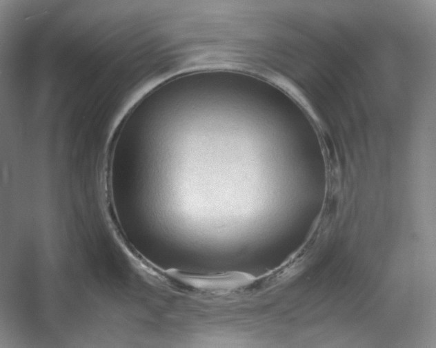 X0000053091101200507251558