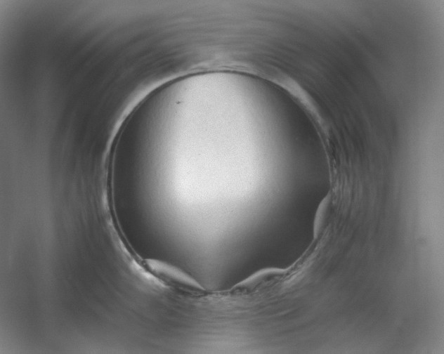 X0000053091102200507251558