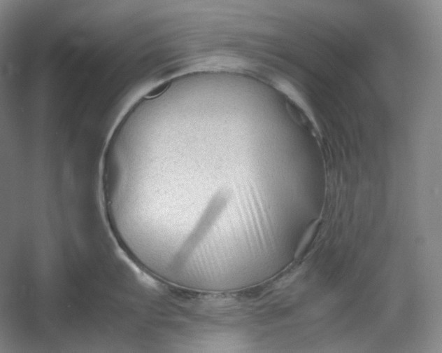 X0000053091103200507251558