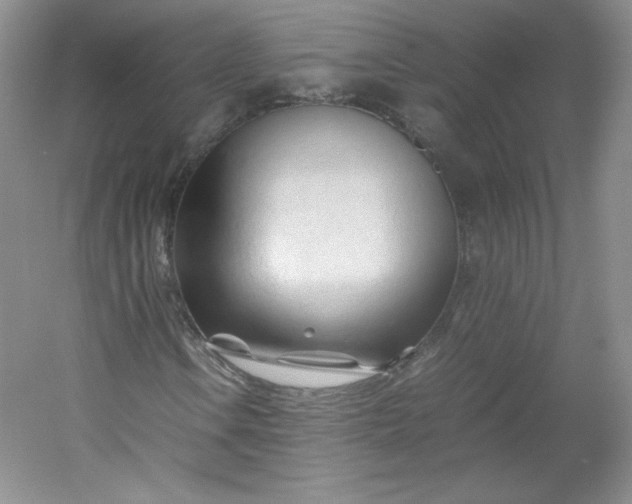 X0000053091106200507251557