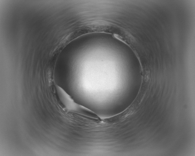 X0000053091108200507251557