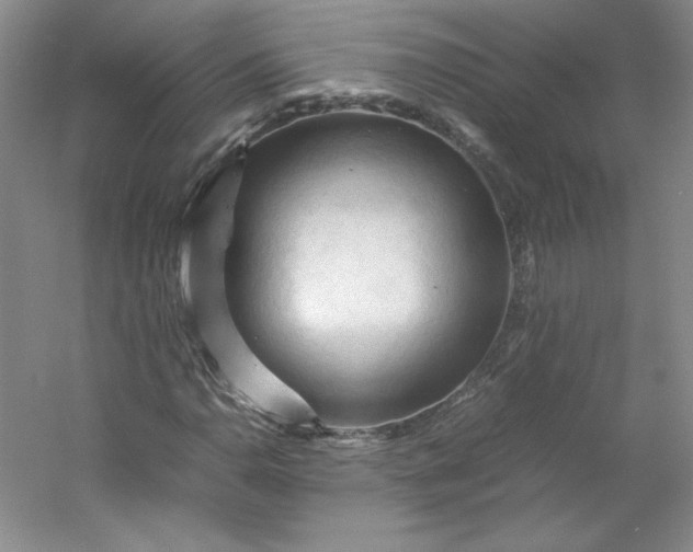 X0000053091110200507251557