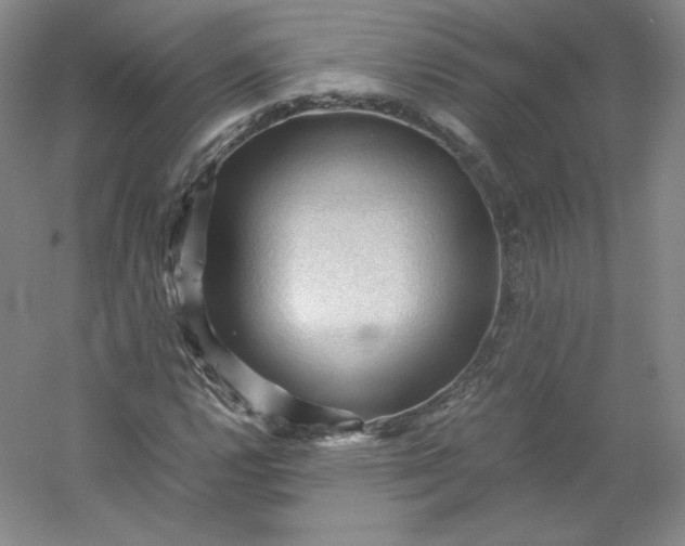 X0000053091112200507251557