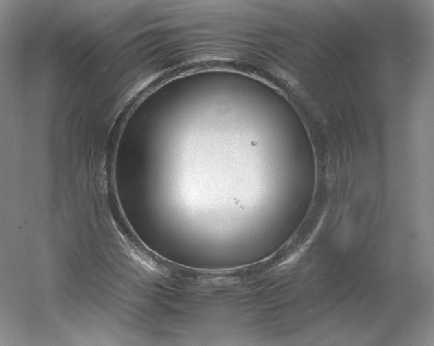 X0000053091113200507251557