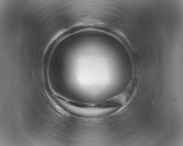 X0000053091114200507251557