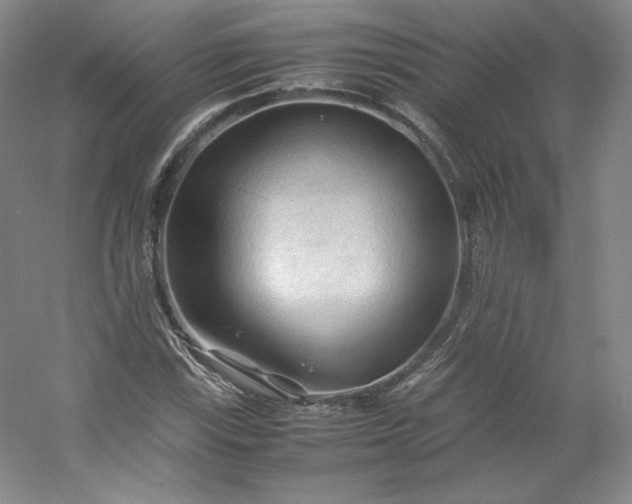 X0000053091115200507251557