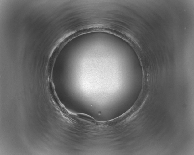 X0000053091117200507251557