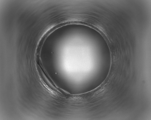 X0000053091119200507251557