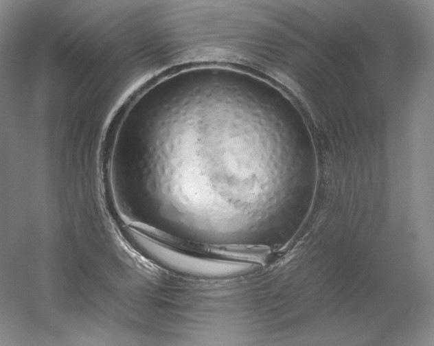 X0000053091120200507251557