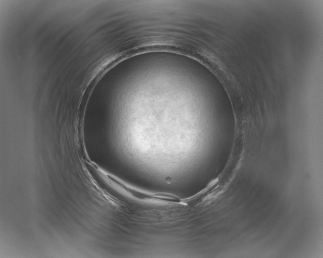 X0000053091121200507251557