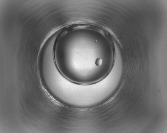 X0000053091122200507251557