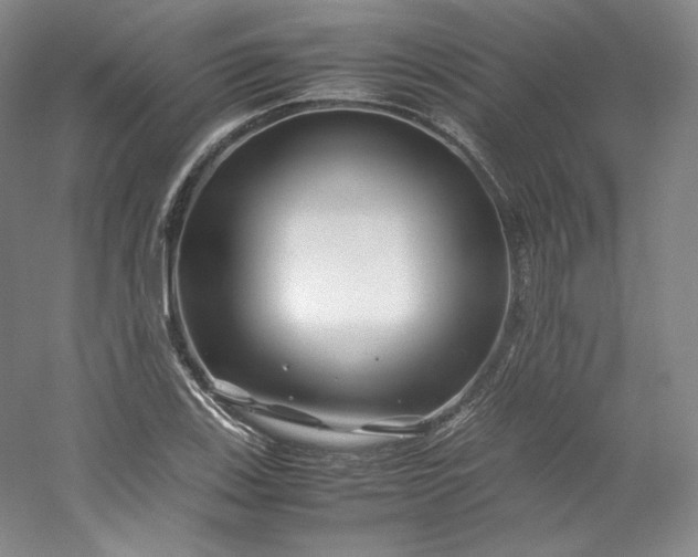 X0000053091123200507251557