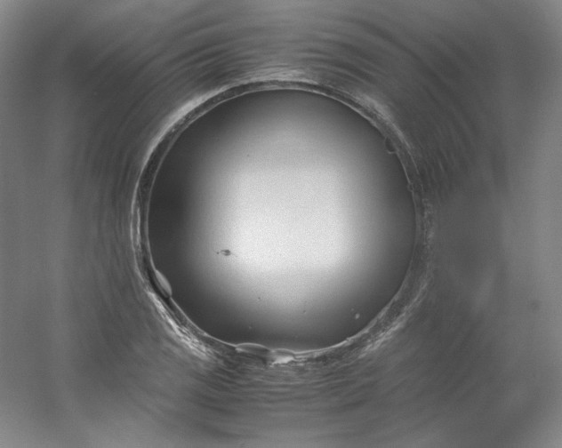 X0000053091125200507251557