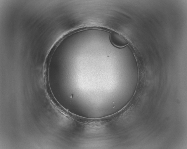 X0000053091126200507251557