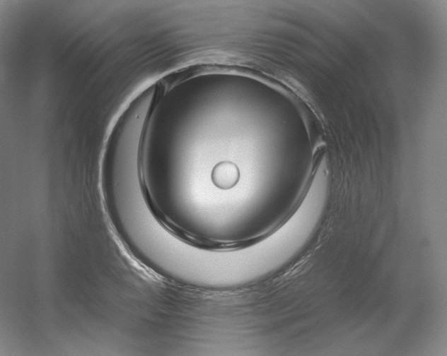 X0000053091128200507251557