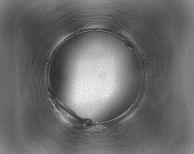 X0000053091129200507251557