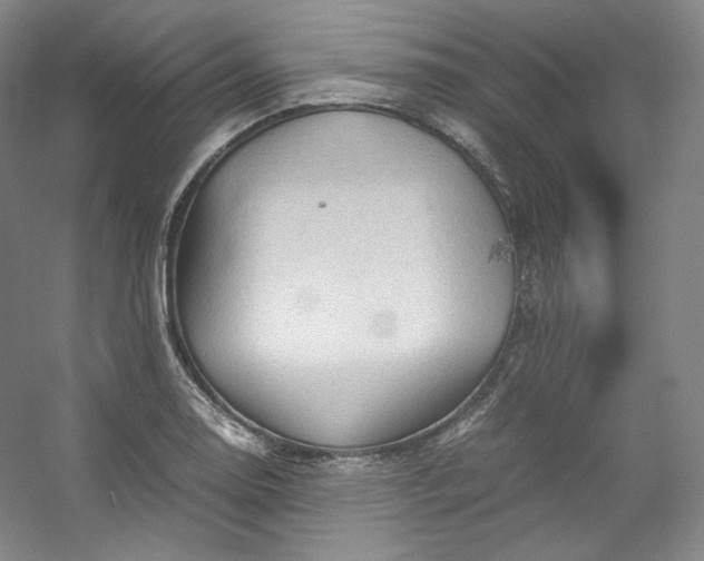 X0000053091130200507251557