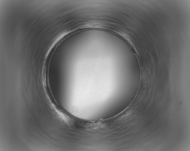 X0000053091131200507251557