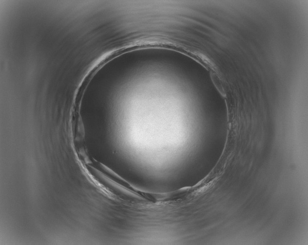 X0000053091134200507251558