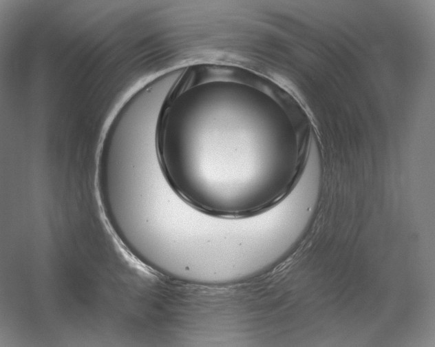 X0000053091136200507251558
