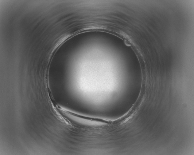 X0000053091137200507251558