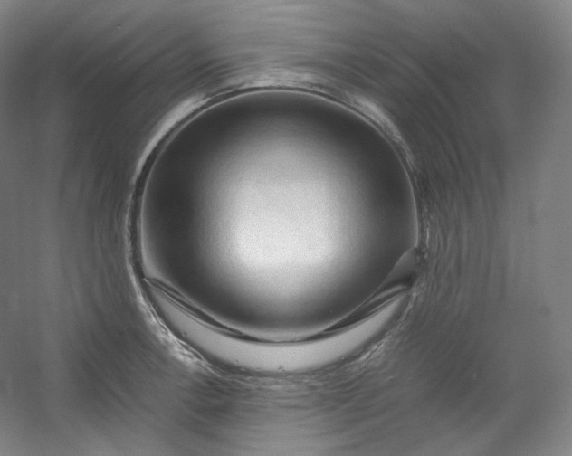 X0000053091138200507251558