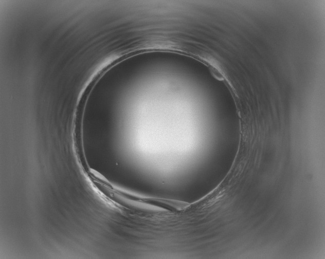 X0000053091139200507251558