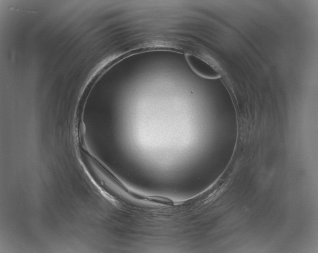 X0000053091141200507251558