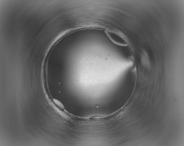 X0000053091142200507251558