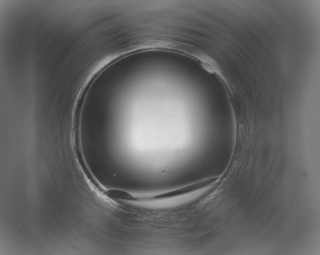 X0000053091143200507251558