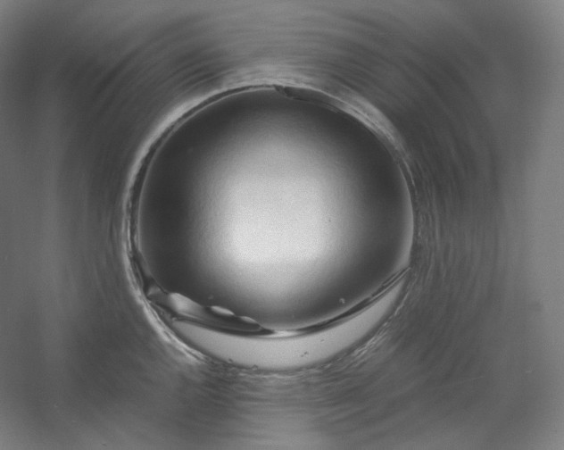 X0000053091144200507251558