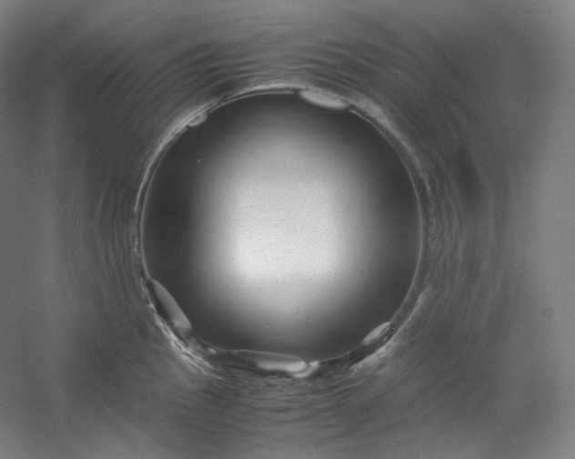 X0000053091145200507251558