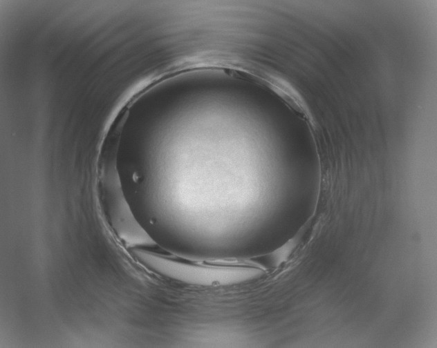 X0000053091146200507251558